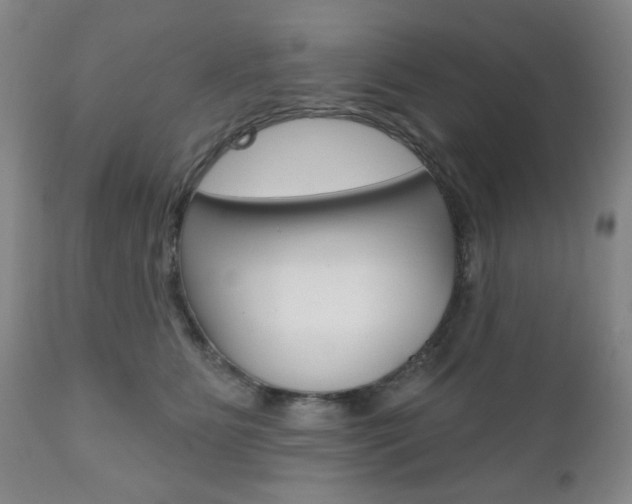 X0000111170515200907011011