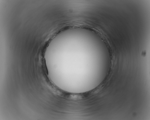 X0000111170520200907011011