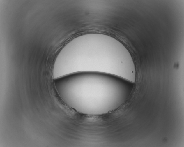 X0000111170521200907011011