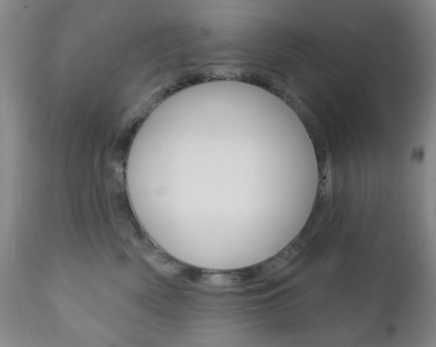 X0000111170522200907011011