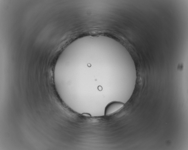 X0000111170523200907011011