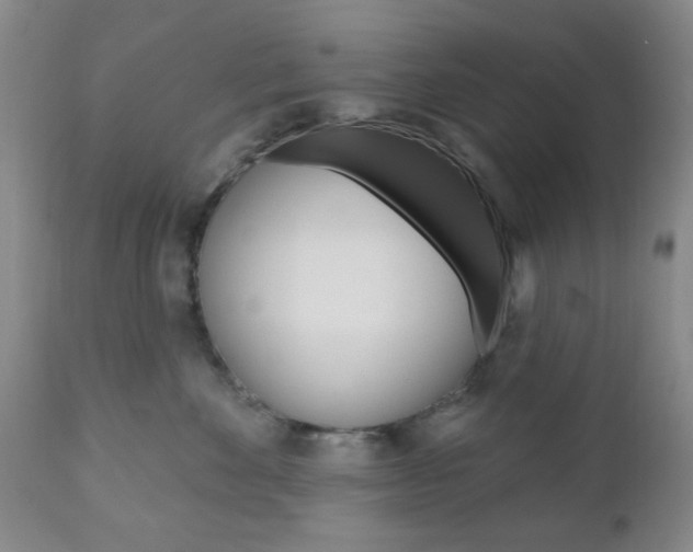 X0000111170524200907011011