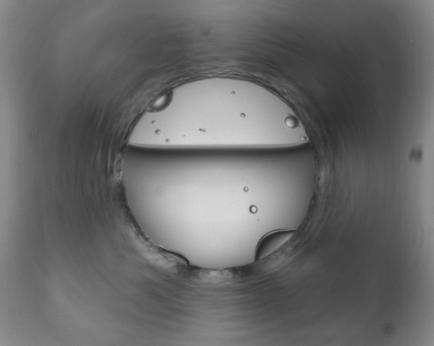 X0000111170525200907011011