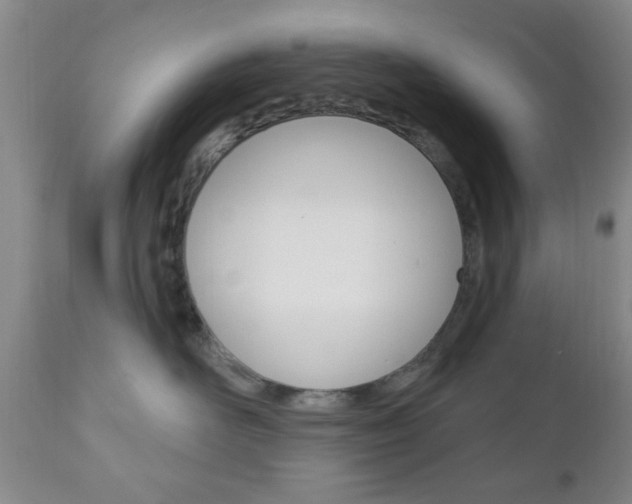 X0000111170526200907011011