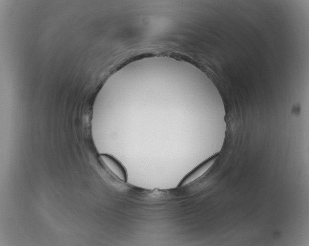 X0000111170527200907011011