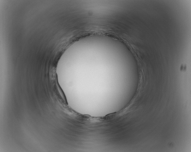 X0000111170528200907011011