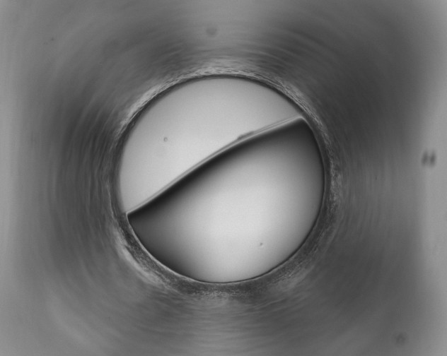 X0000111170530200907011010