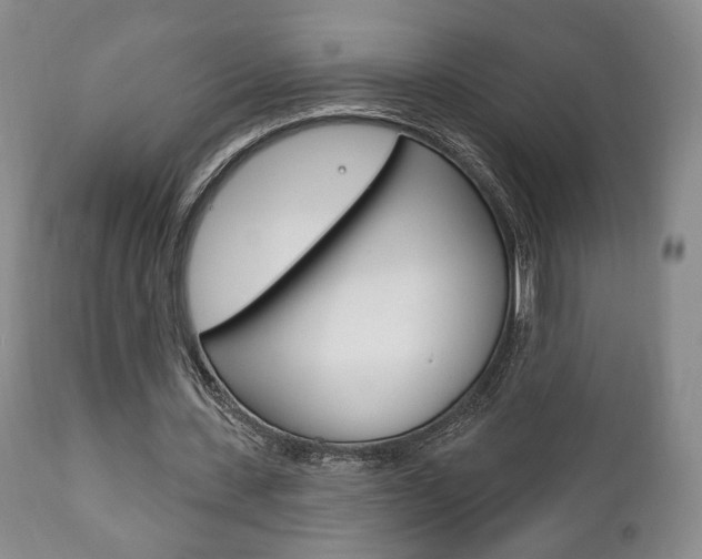 X0000111170531200907011010