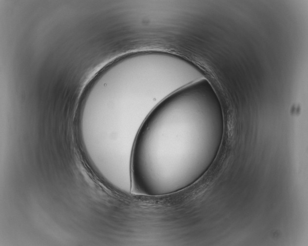 X0000111170532200907011010
