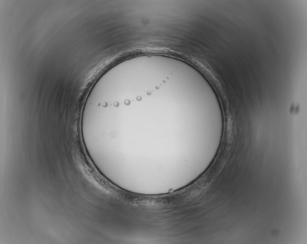 X0000111170533200907011010