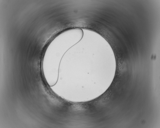 X0000111170534200907011010