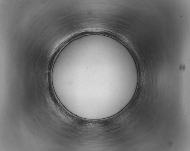 X0000111170535200907011010