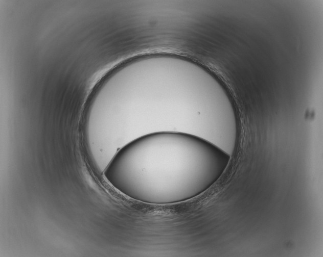X0000111170536200907011010