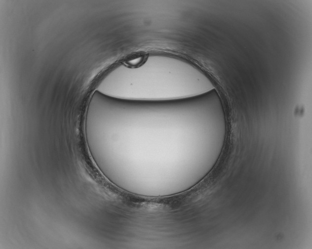 X0000111170539200907011010
