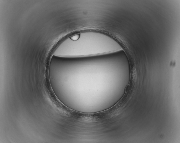 X0000111170540200907011010