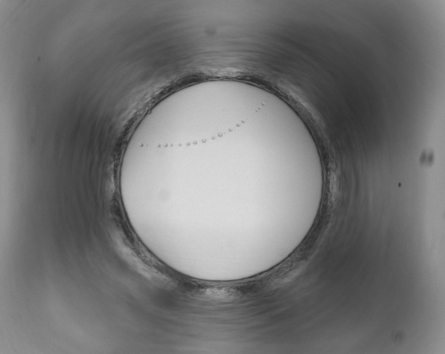 X0000111170541200907011010
