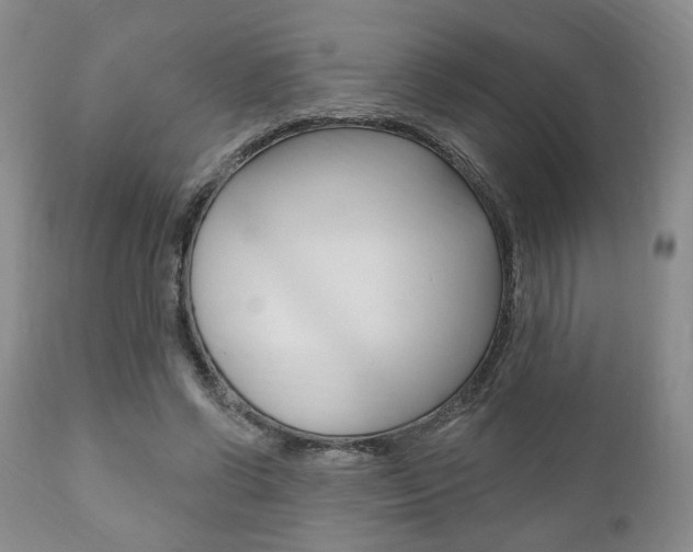 X0000111170542200907011010