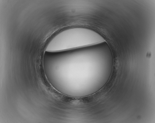 X0000111170544200907011010