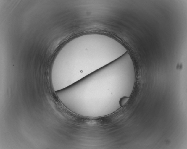 X0000111170547200907011010