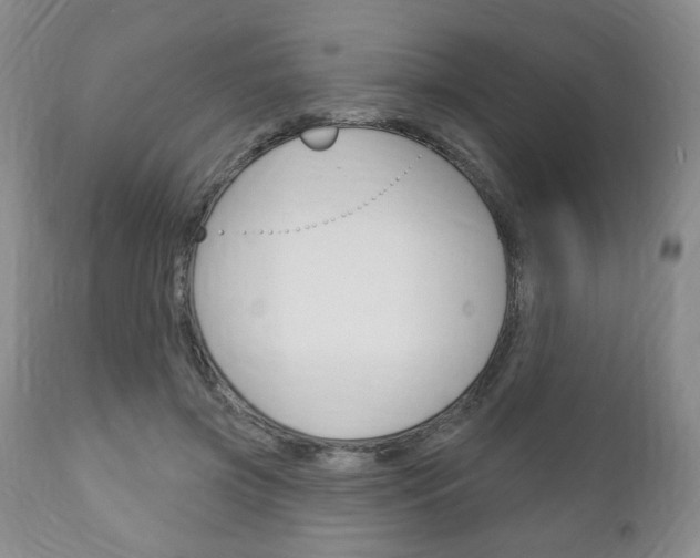 X0000111170549200907011010