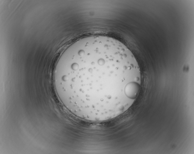 X0000111170550200907011010