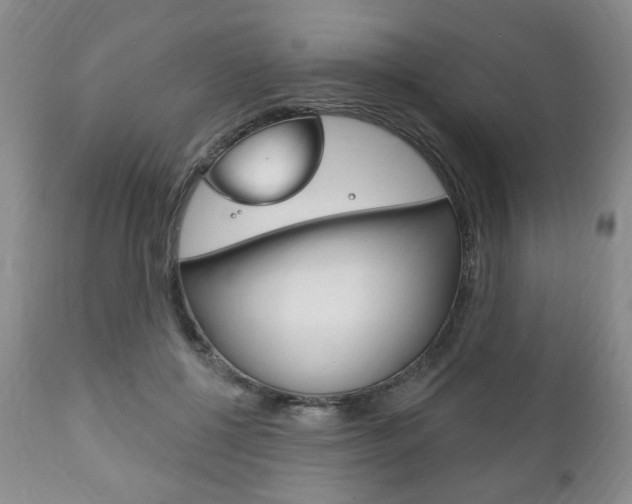 X0000111170552200907011010