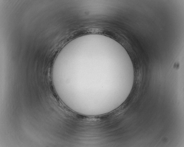 X0000111170553200907011010