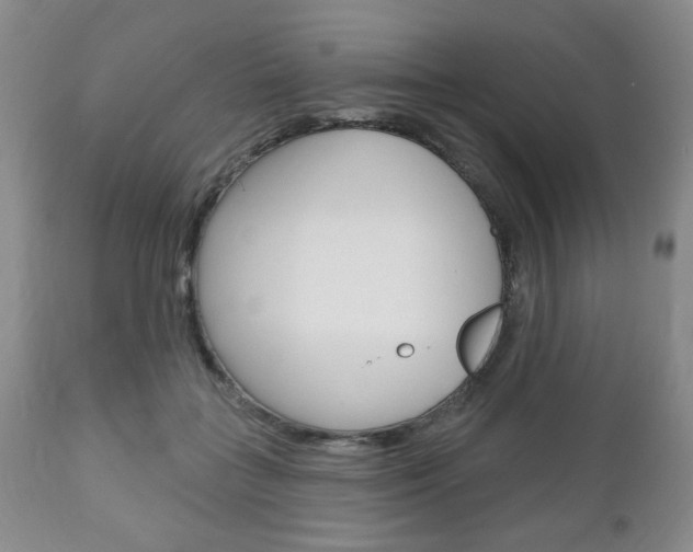 X0000111170555200907011011