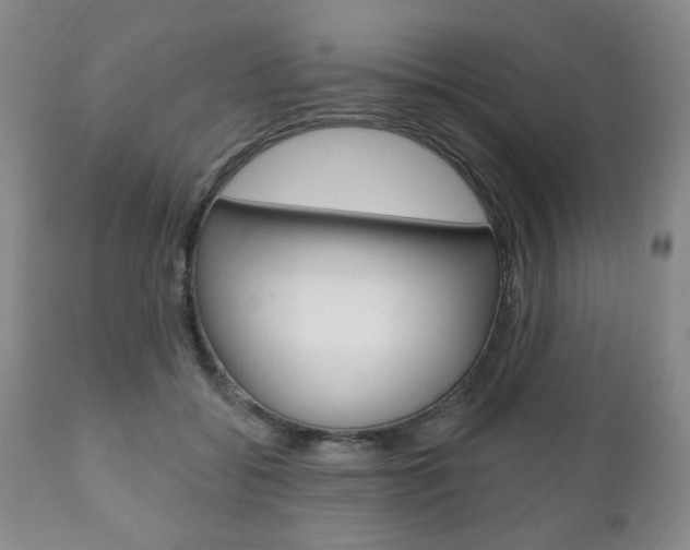 X0000111170556200907011011