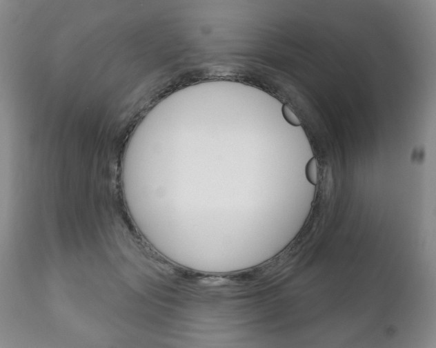 X0000111170557200907011011