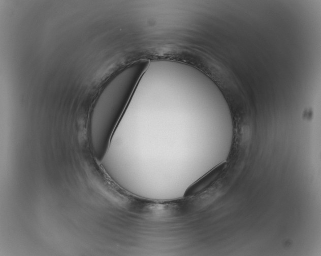 X0000111170558200907011011