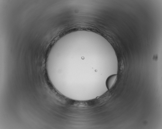 X0000111170559200907011011