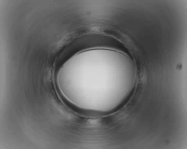 X0000111170560200907011011