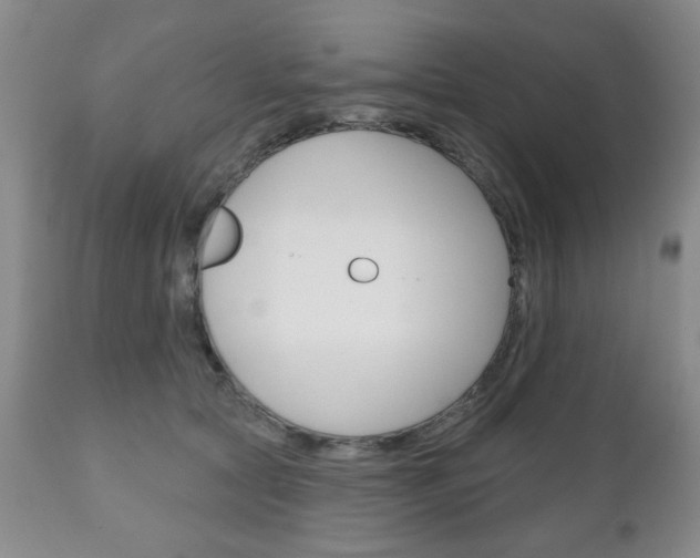 X0000111170561200907011011