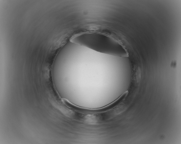 X0000111170562200907011011