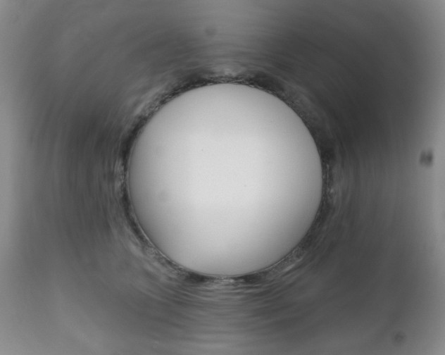 X0000111170563200907011011