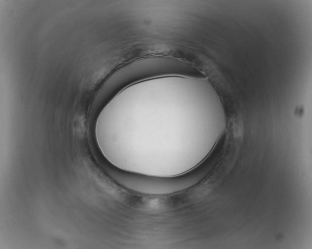 X0000111170564200907011011