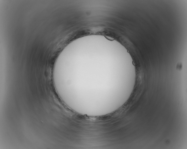 X0000111170565200907011011