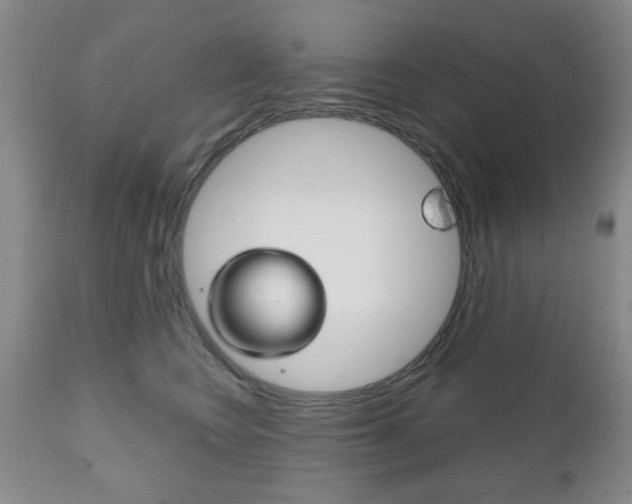 X0000111170566200907011011