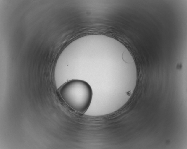 X0000111170568200907011011
