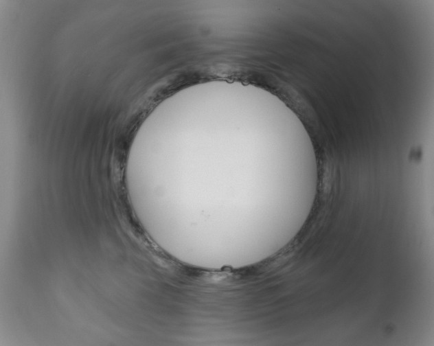 X0000111170569200907011011