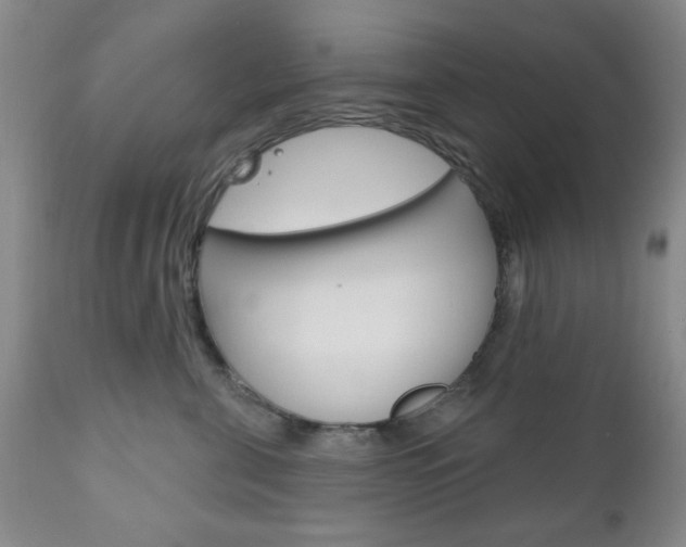 X0000111170571200907011011