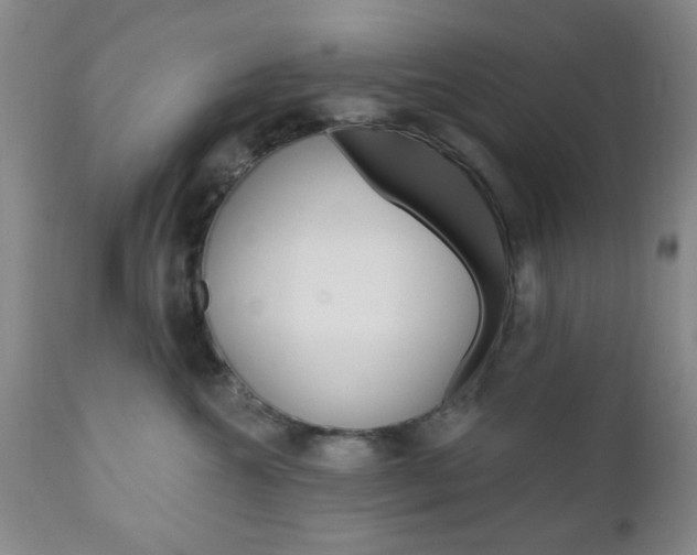 X0000111170572200907011011