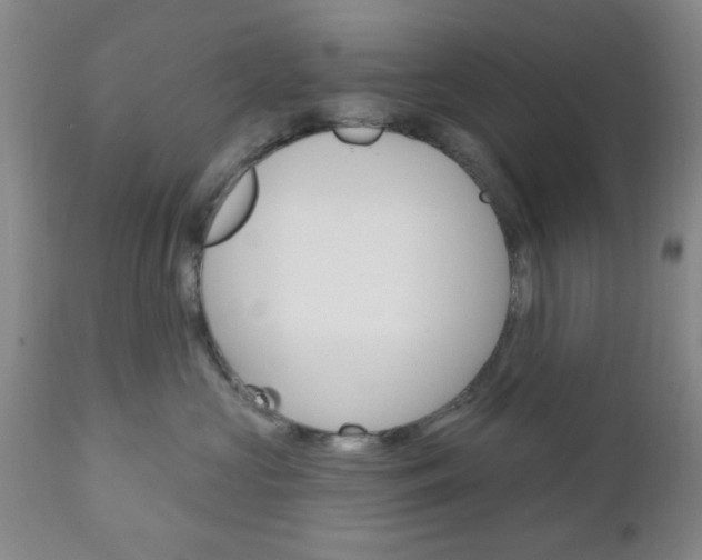 X0000111170573200907011011