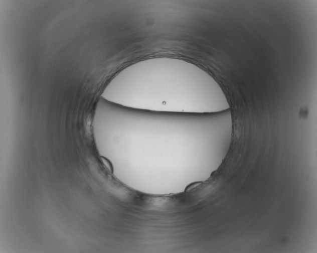 X0000111170575200907011011