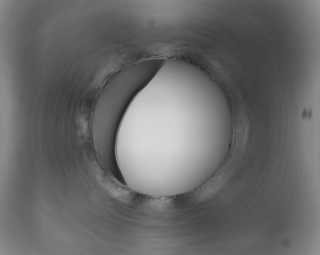 X0000111170576200907011011