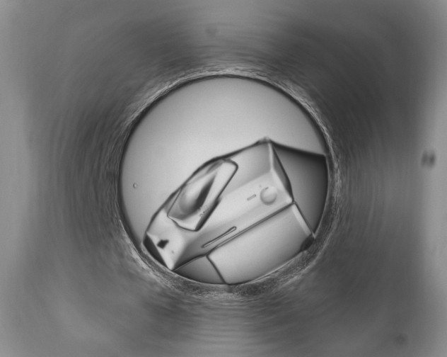 X0000111170577200907011010
