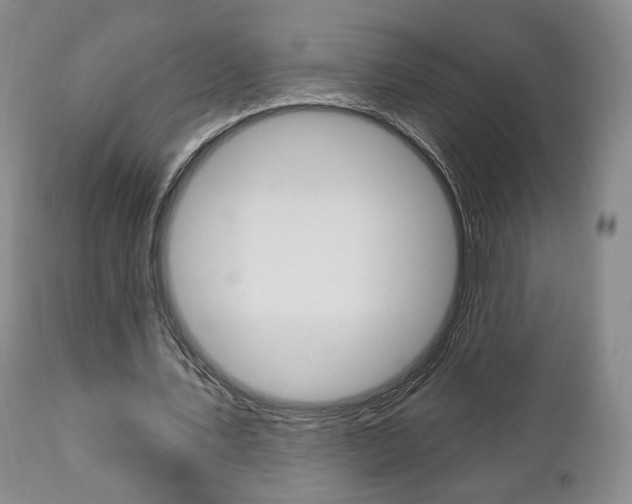 X0000111170579200907011010
