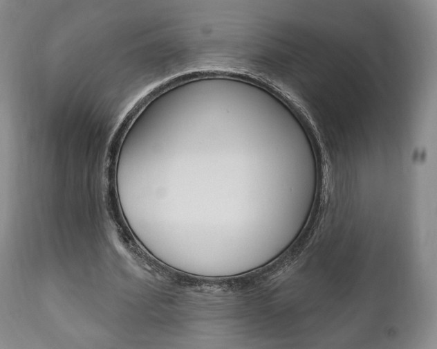 X0000111170580200907011010