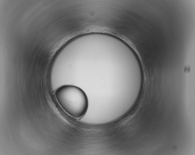 X0000111170581200907011010